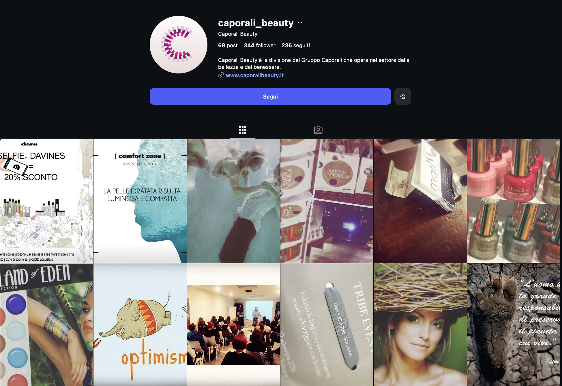 Profilo IG 1
